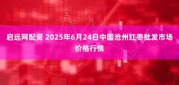 启远网配资 2025年6月24日中国沧州红枣批发市场价格行情