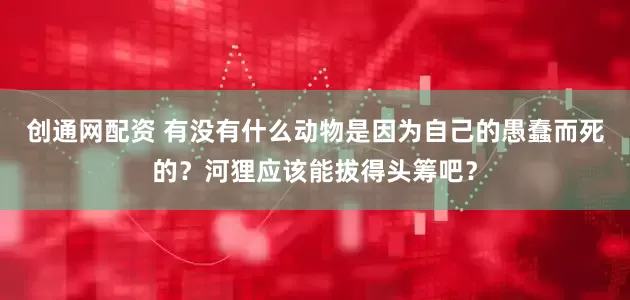 创通网配资 有没有什么动物是因为自己的愚蠢而死的？河狸应该能拔得头筹吧？